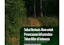 design PDF brochure print ready